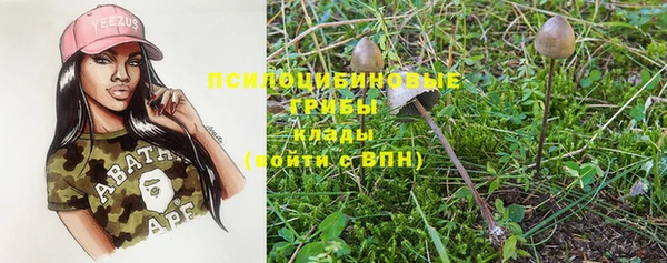 PSILOCYBIN Нягань